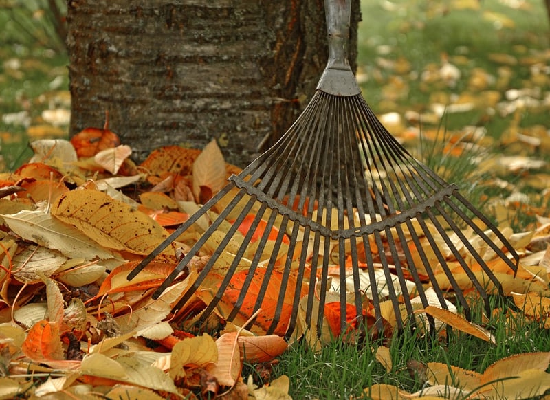Raking Techniques